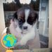Donnette Jones - Facebook