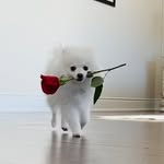donnie barnes - @barnes.donniex - Instagram