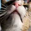 DonnieBoss - @donnietheboss - TikTok