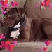 Donnie Bowman - Facebook