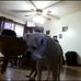 Donnie Browning - Facebook