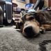 Donnie Bruce - Facebook