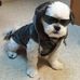 Donnie Cameron - Facebook