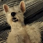 Donnie Chaney - @donniechaney - Instagram