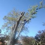 Donnie Eubanks - @donnie.eubanks - Instagram