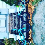Donnie Evans - @bikelifedonnie2 - Instagram