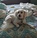 Donnie Fleming - Facebook