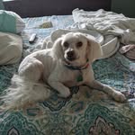 Donnie Fleming - @donnie.fleming - Instagram