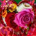 Donnie Fox - Facebook