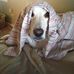 Donnie Garrett - Facebook
