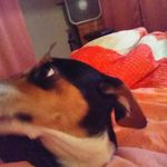 Donnie Garrett - @donniegarrett9 - Instagram
