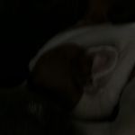 Donnie Graham - @donniegraham3203 - Instagram
