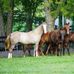 Donnie Headrick - Facebook