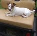 Donnie Hester - Facebook