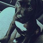 Donnie hightower - @kinglee_032 - Instagram
