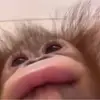 Donniehks - @donniehks - TikTok