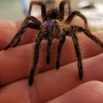 Donnie Benning Hunter - @djhunter4739_ - Instagram