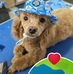 Donnie Hurst - Facebook