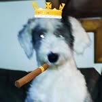 Donnie McBee - @donniewv - Instagram