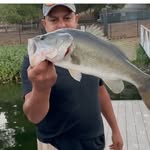 Donnie Mitchell - @donniejojos - Instagram