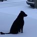 Dorrie Pegues - Facebook