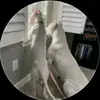 Pulliam donnie - @pulliam.donnie0 - TikTok