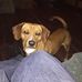 Donnie Robbins - Facebook