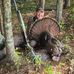 Donnie Robbins - Facebook