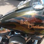 Donnie Robbins - @donnie.robbins - Instagram