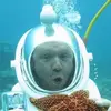 Donnie Schmidt549 - @donnieschmidt549 - TikTok