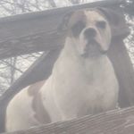 Donnie Schmidt - @donnie.schmidt.7 - Instagram