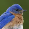 donnieschmidt696 - @donnieschmidt696 - TikTok