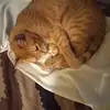 Donnie Sheets - @donnie.sheets - TikTok