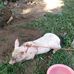Digna Suazo - Facebook