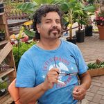 Donnie Suazo - @suazodonnie - Instagram