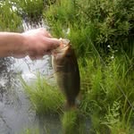 donnie taylor - @hunt_fish_trap_4904 - Instagram