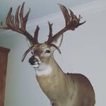 Donnie Taylor - @donnie.taylor.942145 - Instagram