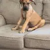 donniejowalls - @donniejowalls - TikTok