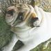Donnie Wang - Facebook