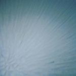 Donnie Washington - @washingtondonnie - Instagram