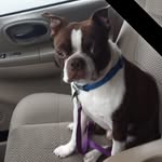 Donnie Watson - @donniewatson904 - Instagram