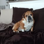 Donnie watts - @donniewatts1 - Instagram