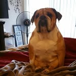 donnie watts - @donnie.watts - Instagram