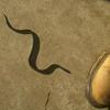 donniewayne73182 - @west.tenn.countryboy - TikTok