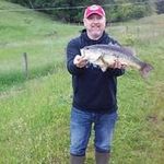 Donnie Webb - @donnie8131 - Instagram