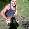 donnie webb - @donniewebb4 - TikTok
