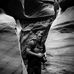 Donnie Whitaker Photography - Facebook