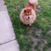Don Windham - Facebook