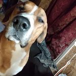 Donny Allen - @donny.allen.5602 - Instagram