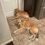 Donny Allen - @donnyiii - Instagram